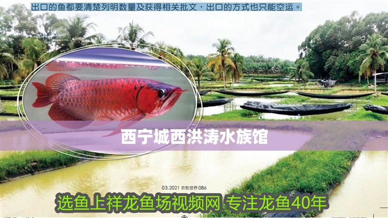 西寧城西洪濤水族館