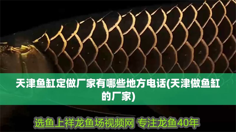天津魚缸定做廠家有哪些地方電話(天津做魚缸的廠家)