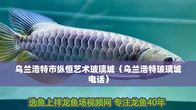 烏蘭浩特市縱恒藝術玻璃城（烏蘭浩特玻璃城電話）