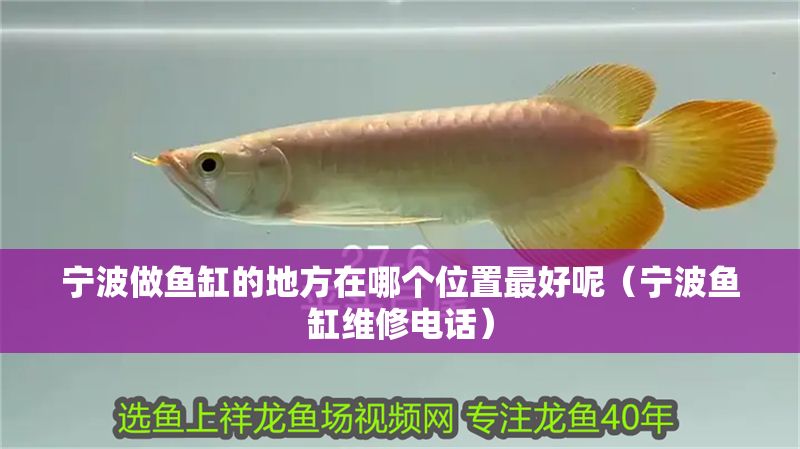 寧波做魚缸的地方在哪個位置最好呢（寧波魚缸維修電話）