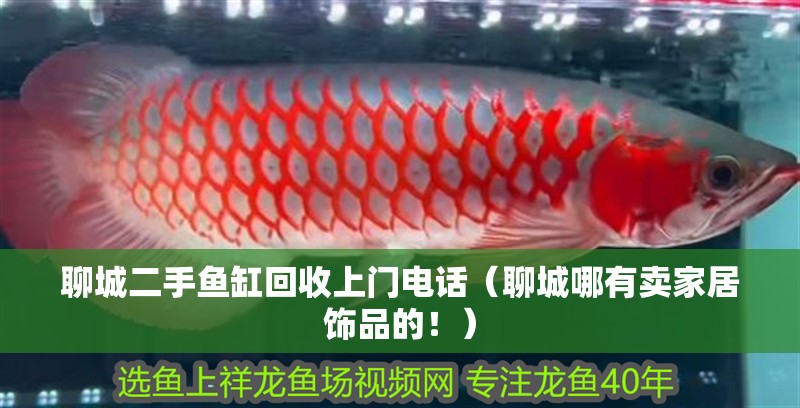 聊城二手魚缸回收上門電話（聊城哪有賣家居飾品的！）