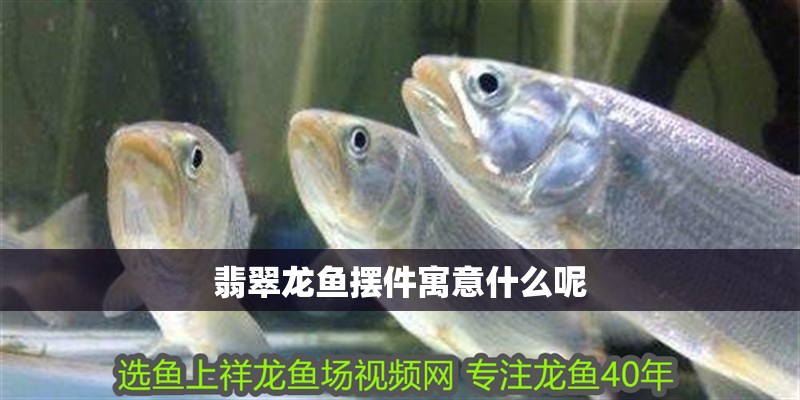 翡翠龍魚擺件寓意什么呢