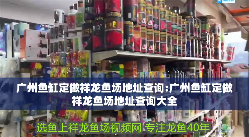 廣州魚缸定做祥龍魚場地址查詢:廣州魚缸定做祥龍魚場地址查詢大全 廣州魚缸定做祥龍魚場地址查詢:廣州魚缸定做祥龍魚場地址查詢大全 vs祥龍魚場