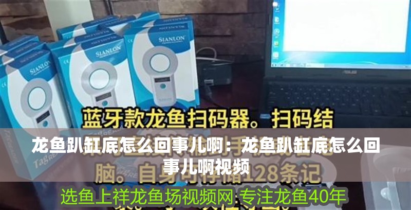 龍魚趴缸底怎么回事兒啊：龍魚趴缸底怎么回事兒啊視頻