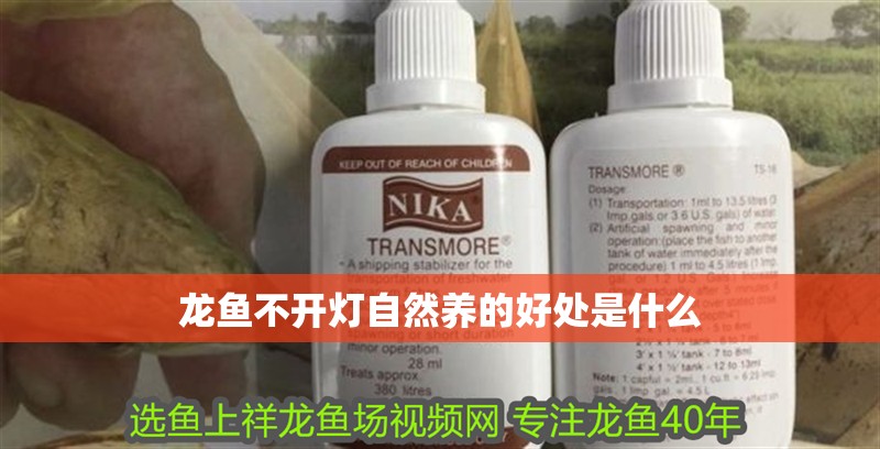 龍魚不開燈自然養(yǎng)的好處是什么