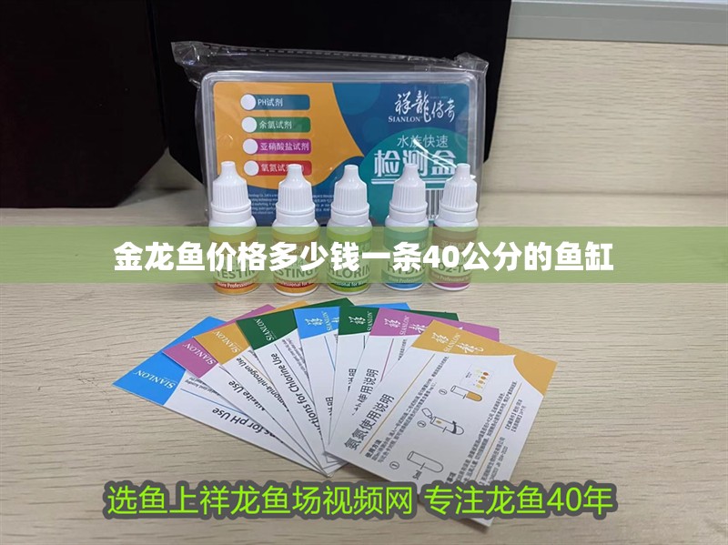 金龍魚價格多少錢一條40公分的魚缸