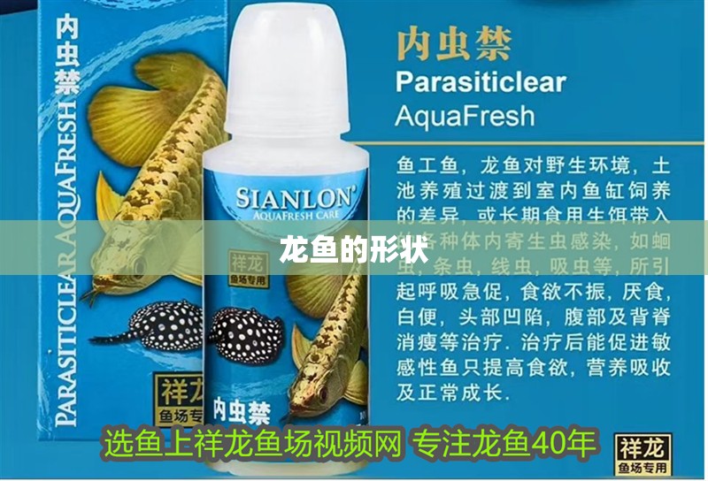 龍魚的形狀