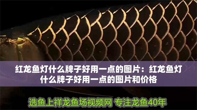 紅龍魚燈什么牌子好用一點的圖片：紅龍魚燈什么牌子好用一點的圖片和價格