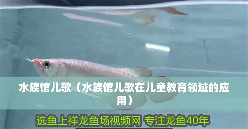 水族館兒歌（水族館兒歌在兒童教育領域的應用）