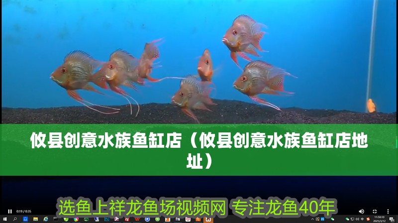 攸縣創意水族魚缸店（攸縣創意水族魚缸店地址） 攸縣創意水族魚缸店（攸縣創意水族魚缸店地址） 全國水族館企業名錄 第2張