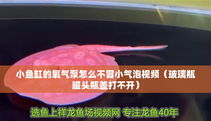 小魚缸的氧氣泵怎么不冒小氣泡視頻（玻璃瓶罐頭瓶蓋打不開）
