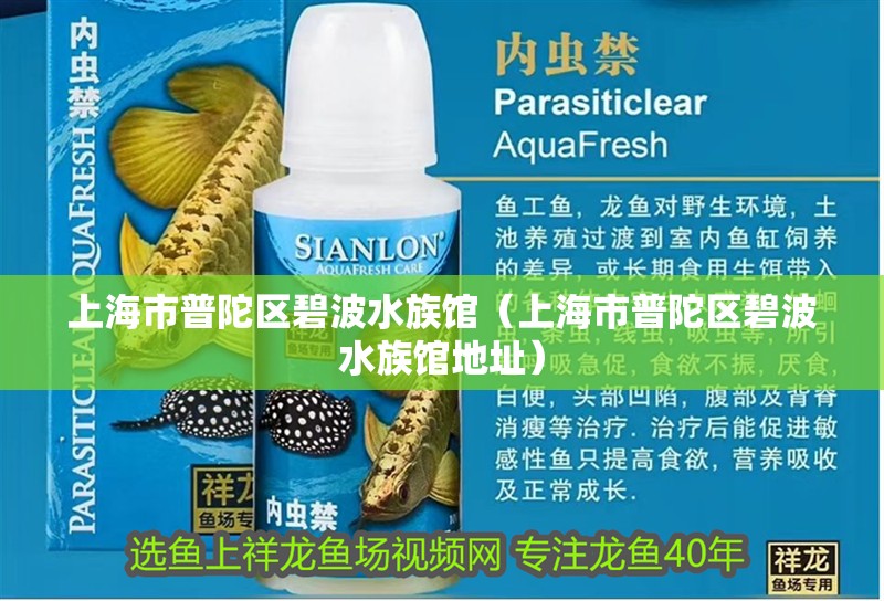 上海市普陀區碧波水族館(上海市普陀區碧波水族館地址) 全國水族館企業名錄 第2張 上海市普陀區碧波水族館(上海市普陀區碧波水族館地址) 上海市普陀區碧波水族館(上海市普陀區碧波水族館地址) 全國水族館企業名錄 第2張