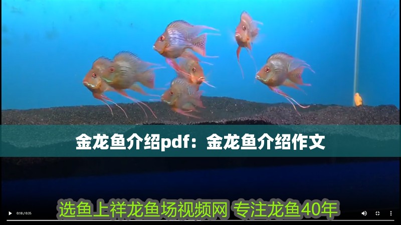 金龍魚介紹pdf:金龍魚介紹作文 水族問答 金龍魚介紹pdf:金龍魚介紹作文 金龍魚介紹pdf:金龍魚介紹作文 水族問答