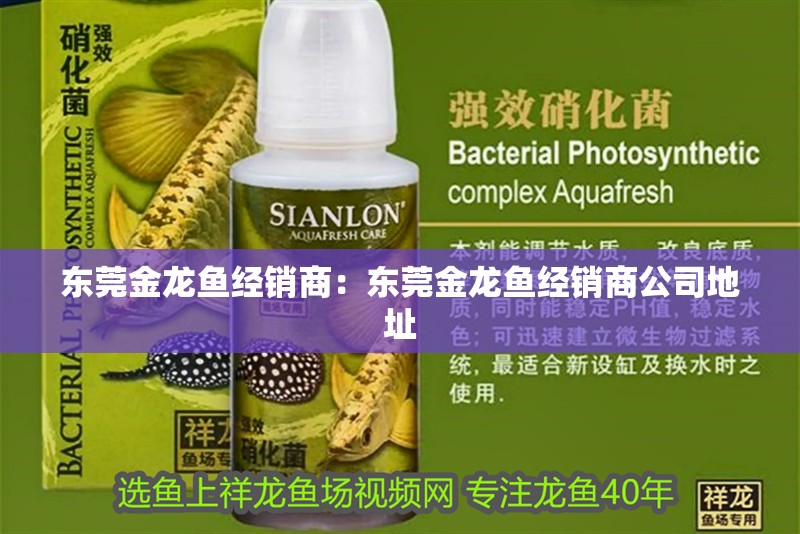 東莞金龍魚經銷商：東莞金龍魚經銷商公司地址