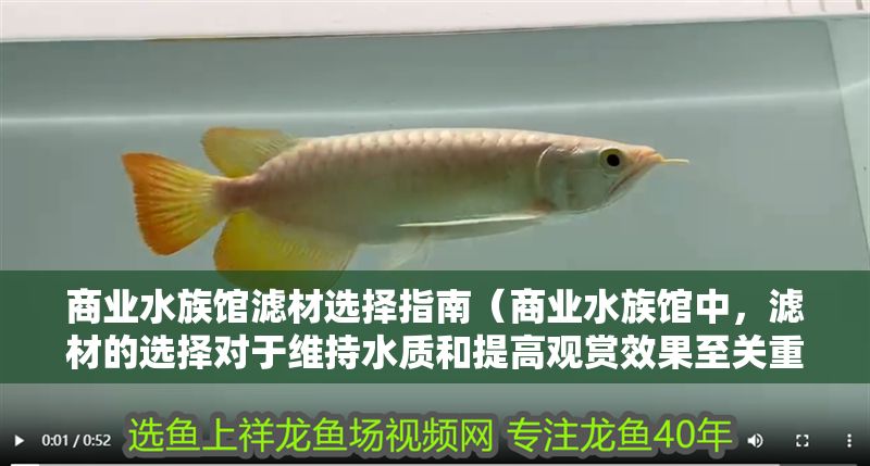 商業水族館濾材選擇指南（商業水族館中，濾材的選擇對于維持水質和提高觀賞效果至關重要）