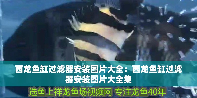 西龍魚缸過濾器安裝圖片大全：西龍魚缸過濾器安裝圖片大全集