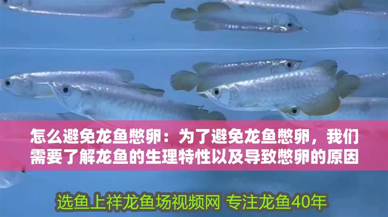 怎么避免龍魚憋卵：為了避免龍魚憋卵，我們需要了解龍魚的生理特性以及導(dǎo)致憋卵的原因