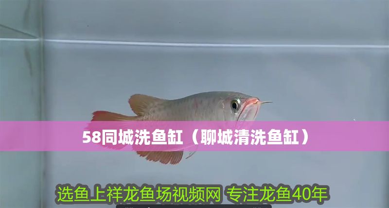58同城洗魚缸（聊城清洗魚缸）