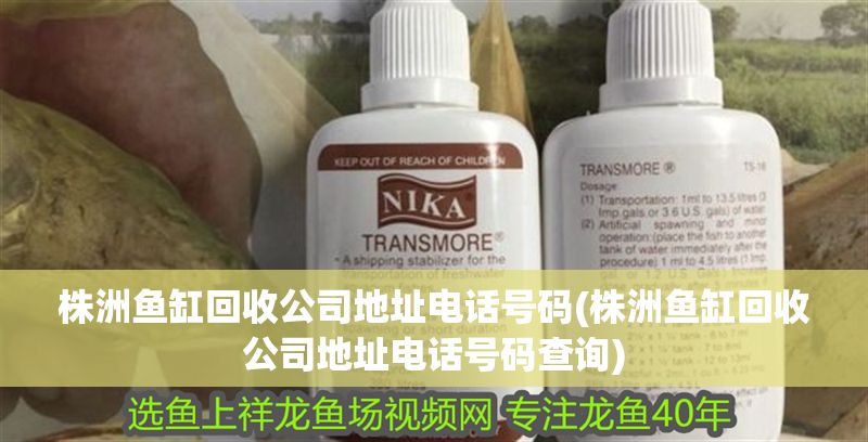 株洲魚缸回收公司地址電話號碼(株洲魚缸回收公司地址電話號碼查詢)