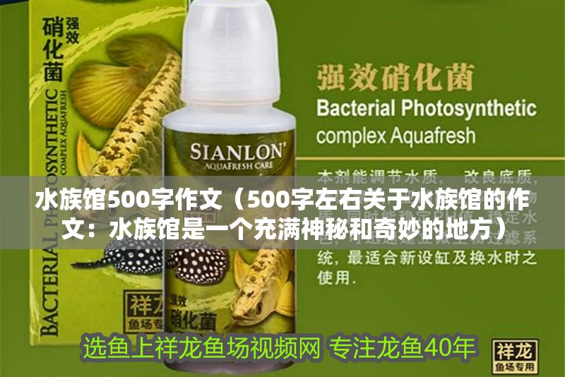 水族館500字作文（500字左右關于水族館的作文：水族館是一個充滿神秘和奇妙的地方）