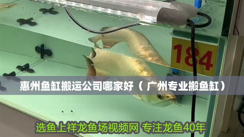 惠州魚缸搬運公司哪家好（ 廣州專業(yè)搬魚缸）
