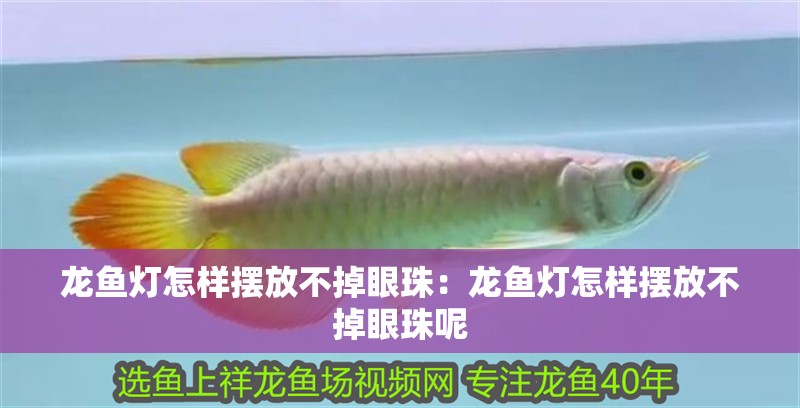 龍魚燈怎樣擺放不掉眼珠：龍魚燈怎樣擺放不掉眼珠呢