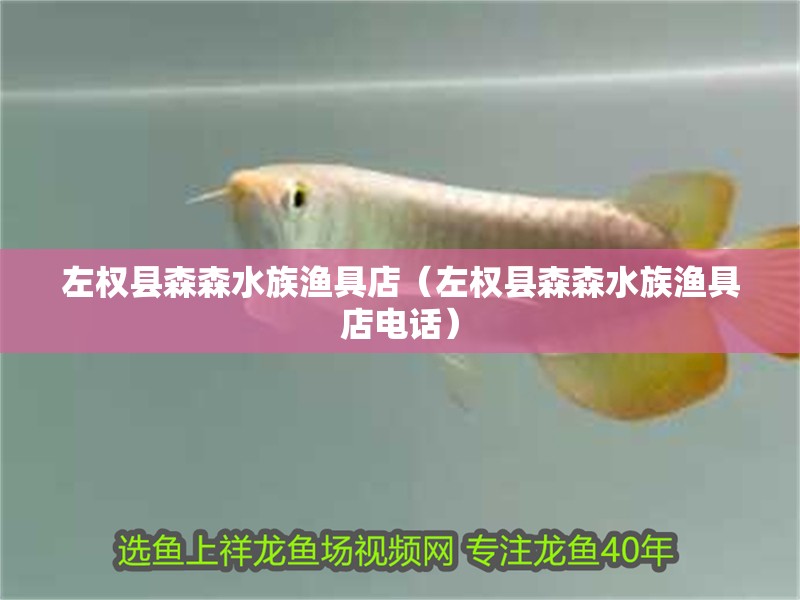 左權縣森森水族漁具店（左權縣森森水族漁具店電話） 左權縣森森水族漁具店（左權縣森森水族漁具店電話） 全國水族館企業名錄 第2張