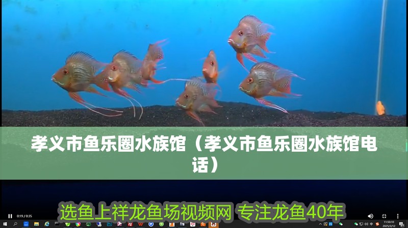孝義市魚樂圈水族館(孝義市魚樂圈水族館電話) 全國水族館企業名錄 第2張 孝義市魚樂圈水族館(孝義市魚樂圈水族館電話) 孝義市魚樂圈水族館(孝義市魚樂圈水族館電話) 全國水族館企業名錄 第2張