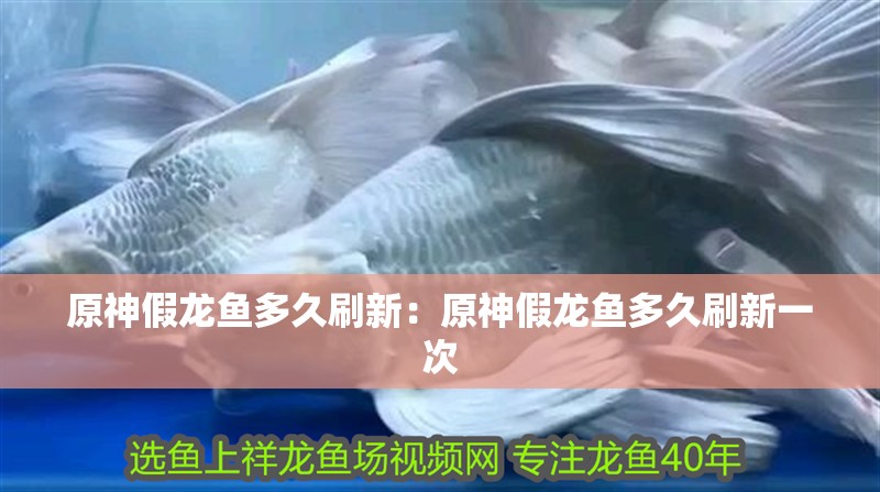 原神假龍魚多久刷新：原神假龍魚多久刷新一次
