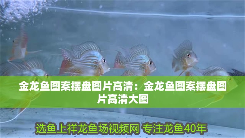 金龍魚圖案擺盤圖片高清：金龍魚圖案擺盤圖片高清大圖 金龍魚圖案擺盤圖片高清：金龍魚圖案擺盤圖片高清大圖 水族問答