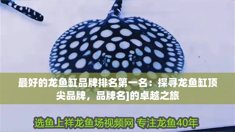 最好的龍魚缸品牌排名第一名：探尋龍魚缸頂尖品牌，品牌名]的卓越之旅