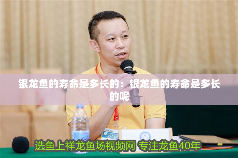 銀龍魚的壽命是多長的：銀龍魚的壽命是多長的呢 銀龍魚的壽命是多長的：銀龍魚的壽命是多長的呢 水族問答