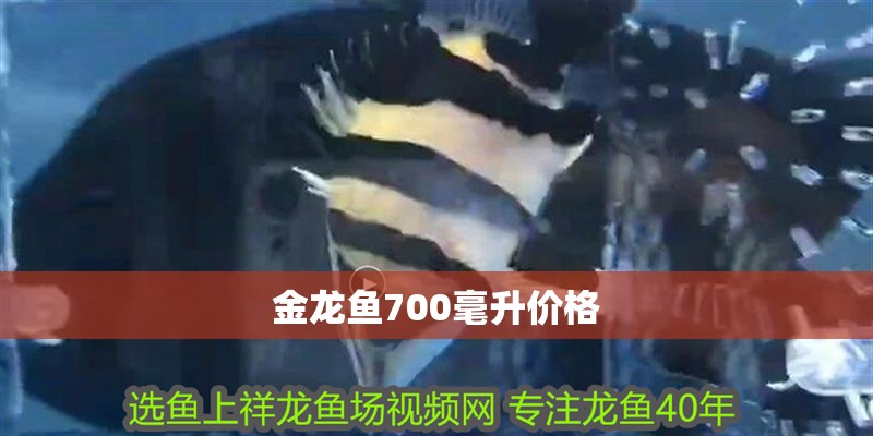 金龍魚700毫升價格