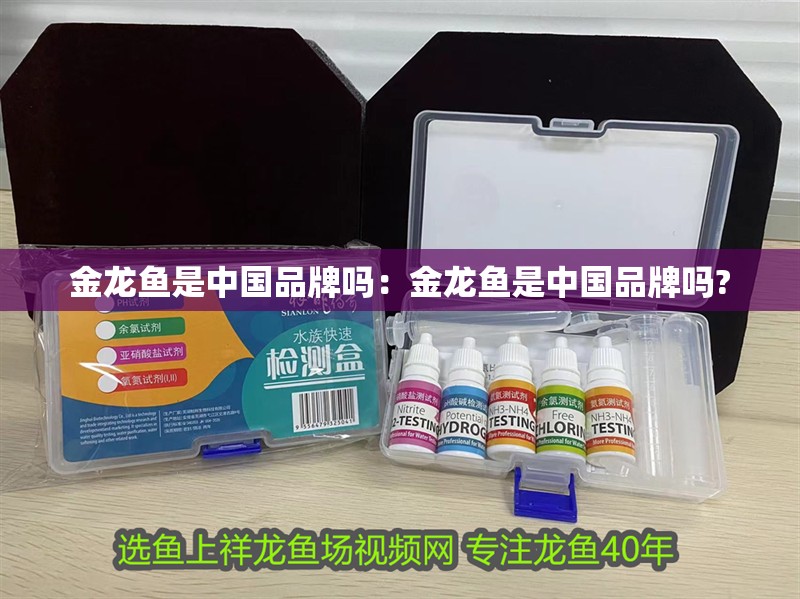 金龍魚是中國品牌嗎：金龍魚是中國品牌嗎?