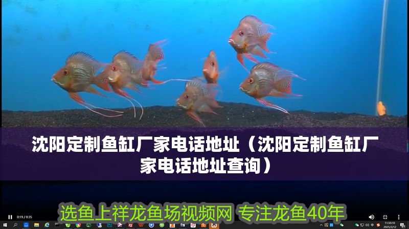 沈陽(yáng)定制魚缸廠家電話地址（沈陽(yáng)定制魚缸廠家電話地址查詢）