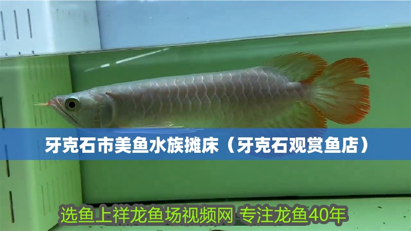 牙克石市美魚水族攤床（牙克石觀賞魚店）