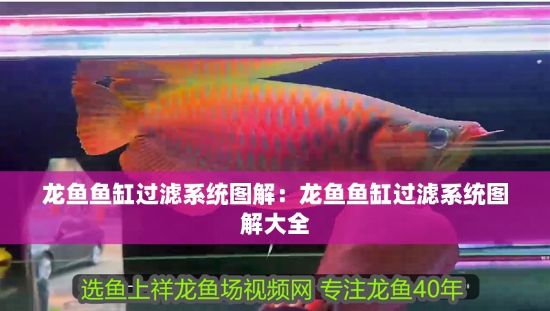 龍魚魚缸過濾系統圖解：龍魚魚缸過濾系統圖解大全