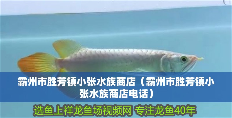 霸州市勝芳鎮小張水族商店（霸州市勝芳鎮小張水族商店電話）