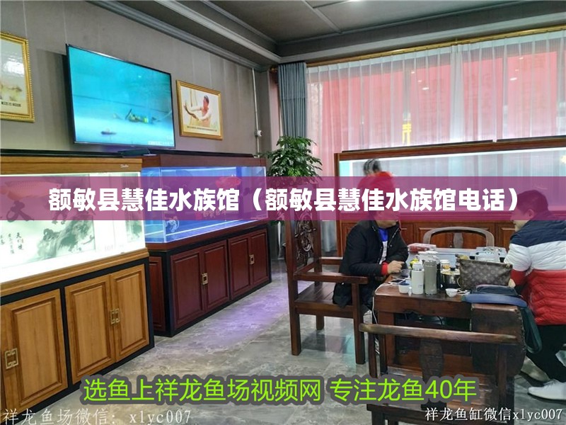 額敏縣慧佳水族館（額敏縣慧佳水族館電話） 額敏縣慧佳水族館（額敏縣慧佳水族館電話） 全國水族館企業(yè)名錄 第2張