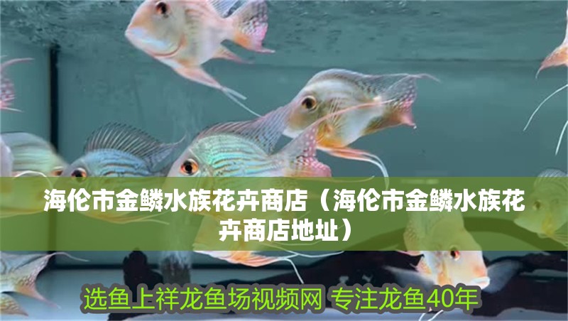 海倫市金鱗水族花卉商店(海倫市金鱗水族花卉商店地址) 全國水族館企業名錄 第2張 海倫市金鱗水族花卉商店(海倫市金鱗水族花卉商店地址) 海倫市金鱗水族花卉商店(海倫市金鱗水族花卉商店地址) 全國水族館企業名錄 第2張
