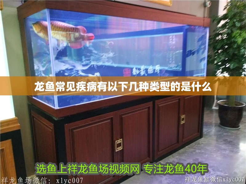 龍魚常見疾病有以下幾種類型的是什么
