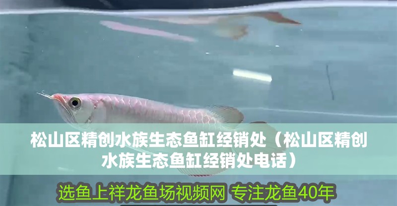 松山區精創水族生態魚缸經銷處（松山區精創水族生態魚缸經銷處電話） 松山區精創水族生態魚缸經銷處（松山區精創水族生態魚缸經銷處電話） 全國水族館企業名錄 第2張