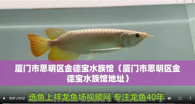 廈門市思明區金德寶水族館（廈門市思明區金德寶水族館地址）