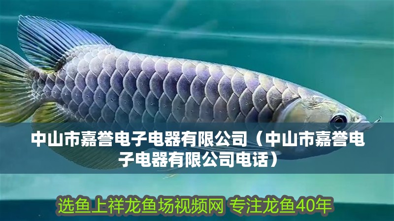 中山市嘉譽電子電器有限公司(中山市嘉譽電子電器有限公司電話) 全國水族館企業(yè)名錄 第2張 中山市嘉譽電子電器有限公司(中山市嘉譽電子電器有限公司電話) 中山市嘉譽電子電器有限公司(中山市嘉譽電子電器有限公司電話) 全國水族館企業(yè)名錄 第2張