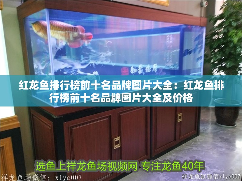 紅龍魚排行榜前十名品牌圖片大全：紅龍魚排行榜前十名品牌圖片大全及價(jià)格