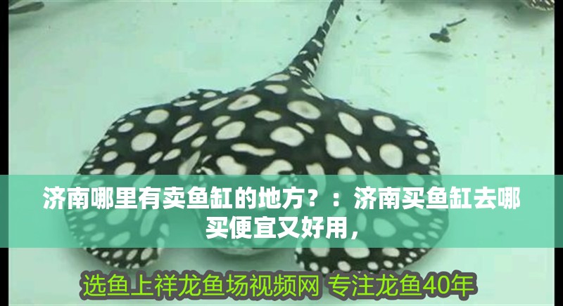 濟南哪里有賣魚缸的地方？：濟南買魚缸去哪買便宜又好用，