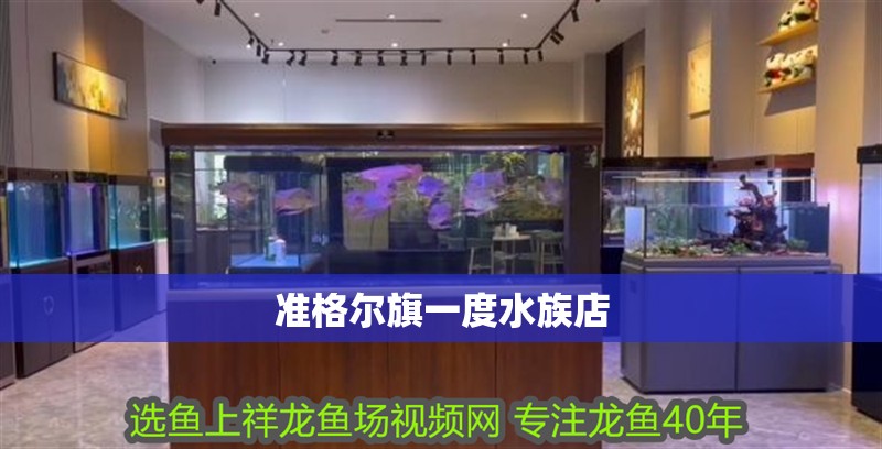 準格爾旗一度水族店