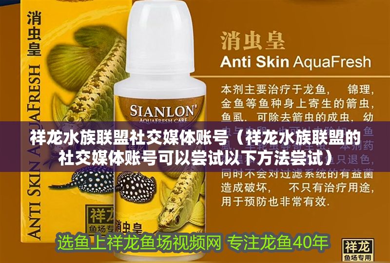 祥龍水族聯盟社交媒體賬號（祥龍水族聯盟的社交媒體賬號可以嘗試以下方法嘗試） 祥龍水族聯盟社交媒體賬號（祥龍水族聯盟的社交媒體賬號可以嘗試以下方法嘗試） 水族館百科（水族館加盟） 第2張