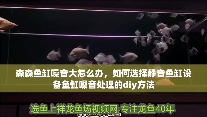 森森魚缸噪音大怎么辦，如何選擇靜音魚缸設備魚缸噪音處理的diy方法