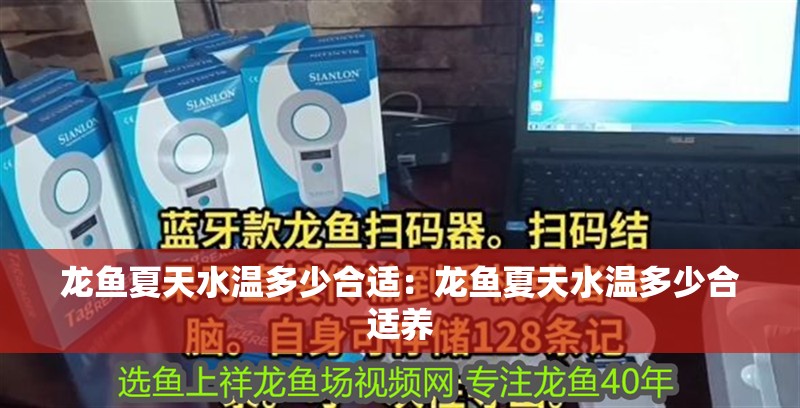 龍魚夏天水溫多少合適：龍魚夏天水溫多少合適養 龍魚夏天水溫多少合適：龍魚夏天水溫多少合適養 水族問答